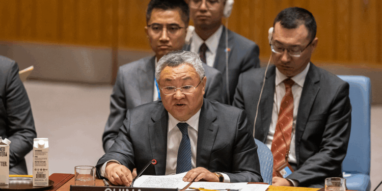 Securing lasting ceasefire in Gaza is top priority: Chinese Envoy