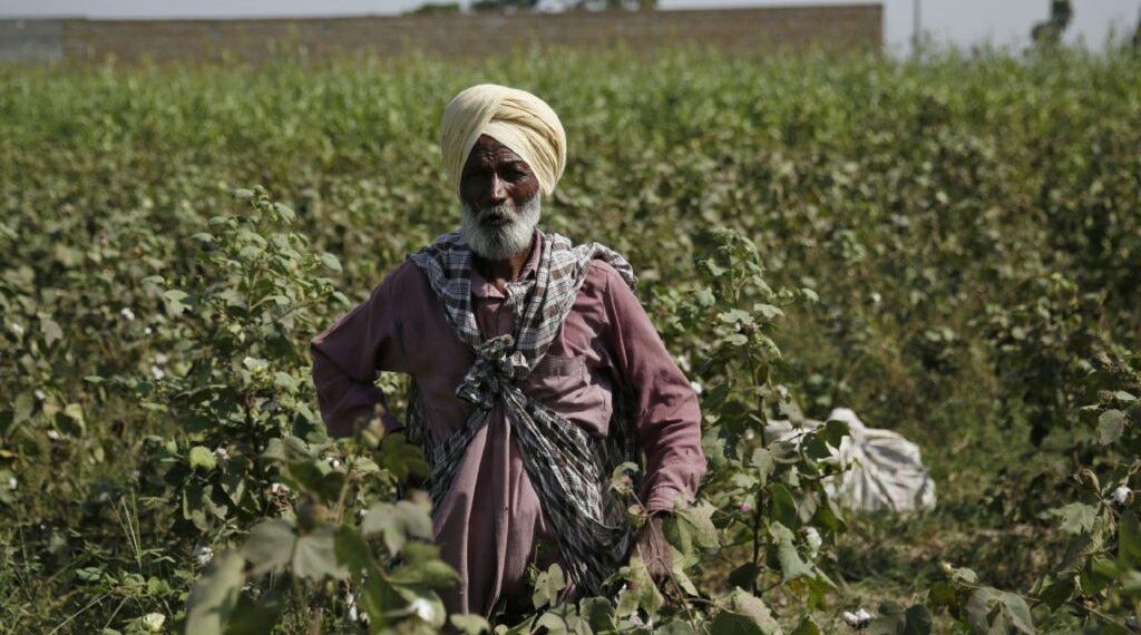 Punjab minister: Farmers have rapid, simple access to high-quality seeds