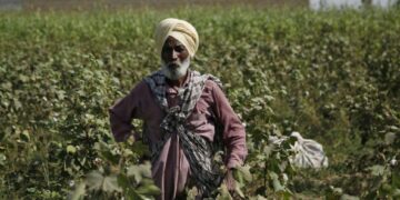 Punjab minister: Farmers have rapid, simple access to high-quality seeds