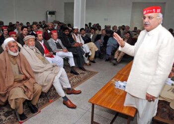 Peace must for CPEC success: ANP