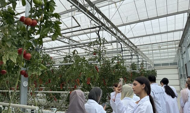 Beijing hosts delegation of schoolgirls from Balochistan, Pakistan