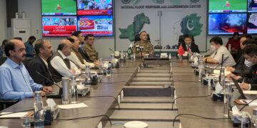 Chinese experts team releases initial flood report from Pakistan