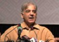CPEC will be a game changer for region: CM Shahbaz