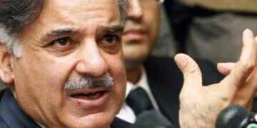 Sindh has larger share of CPEC energy projects than Punjab: Shahbaz