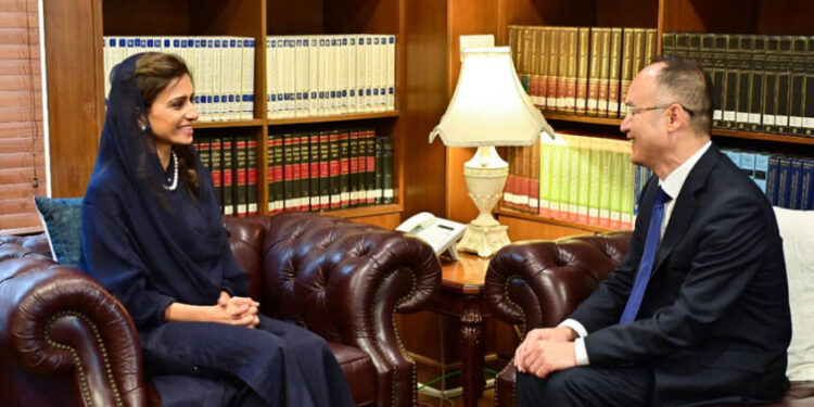 Chinese Ambassador to Pakistan Nong Rong Meets with Pakistani Minister of State for Foreign Affairs Hina Rabbani Khar