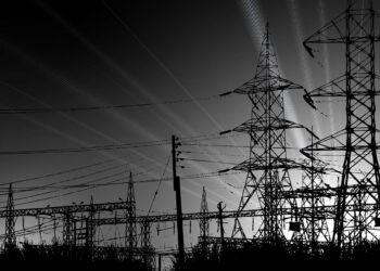 Five working days for Pakistanis