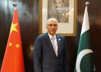 Pakistani Ambassador: China-Pakistan Digital Corridor will improve IT industry collaboration