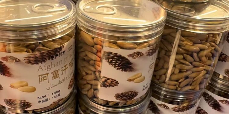Afghan pine nuts and dried apricot got wholesale orders on CIIE