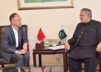 The Finance Minister and the Chinese Envoy discuss the CPEC and bilateral relations