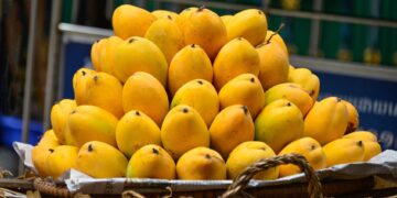 Pakistan to Begin Mango Exports from May 25