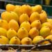 Pakistan to Begin Mango Exports from May 25