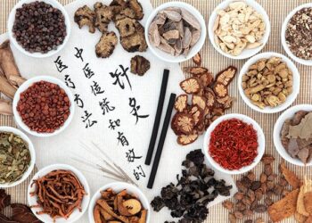 Wide Prospects for Pak-China TCM Cooperation, Experts Opinion