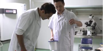 Sino-Pak collaboration in buffalo embryo transfer and production to achieve beneficial results