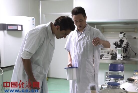 Sino-Pak collaboration in buffalo embryo transfer and production to achieve beneficial results