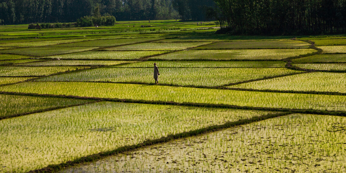 Groundwater Export