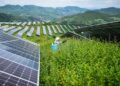 China’s Push for Green Electricity Drives Global Energy Transition