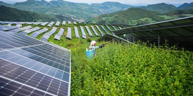 China’s Push for Green Electricity Drives Global Energy Transition