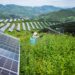 China’s Push for Green Electricity Drives Global Energy Transition