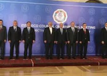 ECO Summit: Potentials and pitfalls