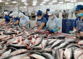 Pakistan’s seafood exports to China increase 34 percent in Jan-Sept 2022