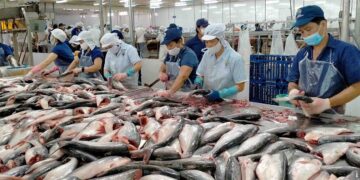 Pakistan’s seafood exports to China increase 34 percent in Jan-Sept 2022