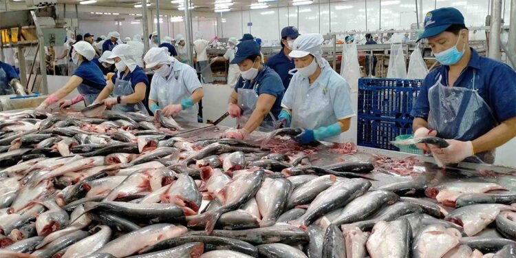 Pakistan’s seafood exports to China increase 34 percent in Jan-Sept 2022
