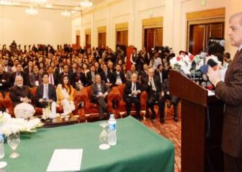 Govt providing all facilities to foreigners, CM tells Chinese delegation