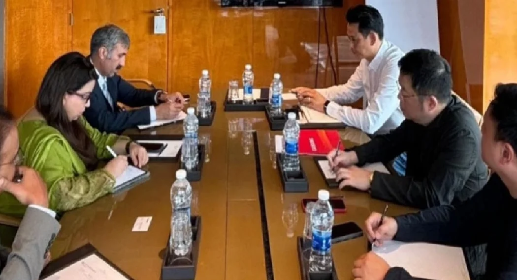 Chinese delegation shows interest in investing in IT sector