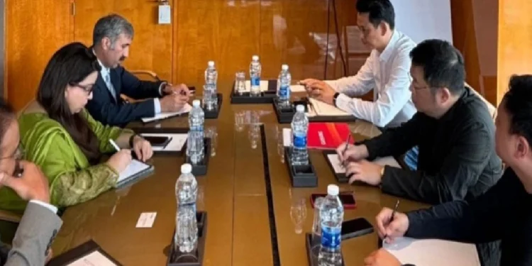 Chinese delegation shows interest in investing in IT sector