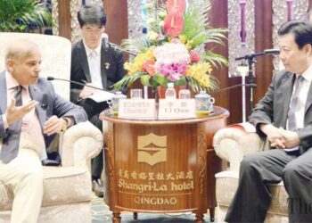 Punjab offers free land for Chinese investment