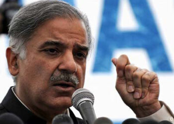 China an important partner in Pak economic development: Shehbaz
