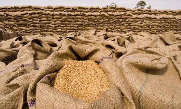Areas Affected By Floods Need 2,990,000 Seed Bags for Rabi Crops