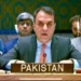 Pakistan expresses âprofound concernâ, urges restraint and dialogue on Venezuela at UNSC