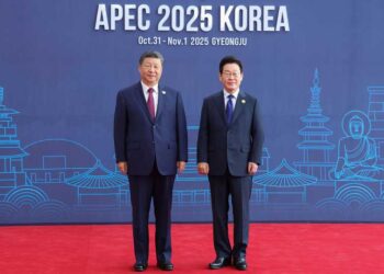 China values, welcomes South Korean president’s visit: FM