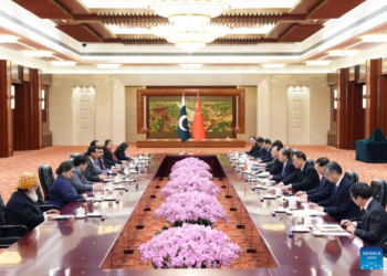 China’s top legislator holds talks with speaker of National Assembly of Pakistan