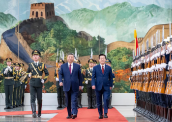 Xi says China, ROK should jointly safeguard fruits of WWII victory