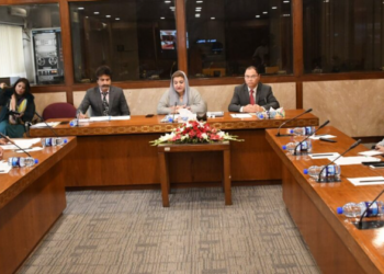 From Taxila to Trade: Pakistan-Viet Nam Friendship Group Charts New Cooperation Path