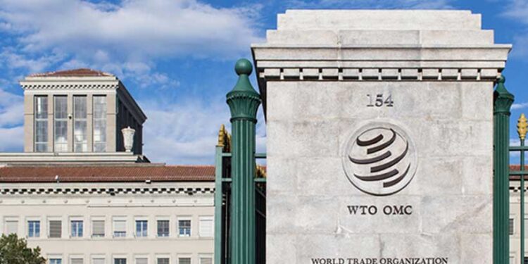 China submits first comprehensive policy document outlining its stance on WTO reform