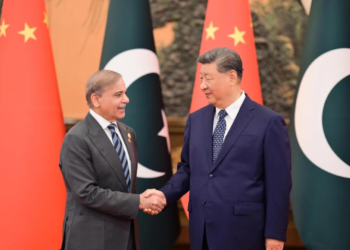 PM Shehbaz Sharif Wishes President Xi, Chinese Nation a Happy Year of the Horse