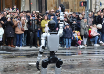 Future-oriented Chinese New Year in France blends tradition, technology