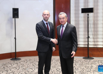 Chinese FM urges China, France to work together to prevent world from reverting to “law of jungle”