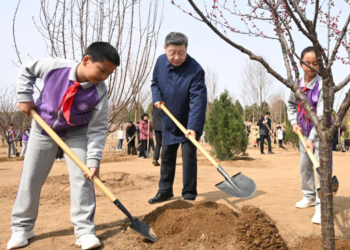 Xi urges mobilizing whole society in tree-planting efforts