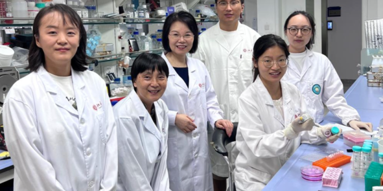 China completes patent screening at universities, research institutions to enhance commercialization