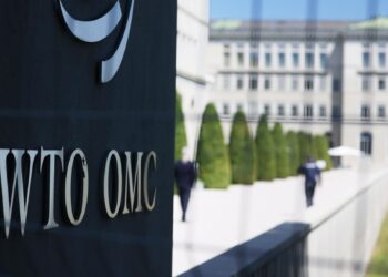 One-China principle is political premise for Taiwan’s participation in WTO: spokesperson