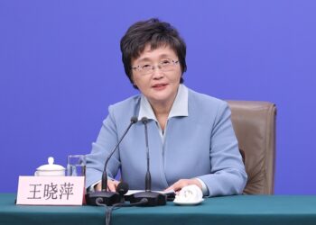 China to harness AI in creating new jobs: minister