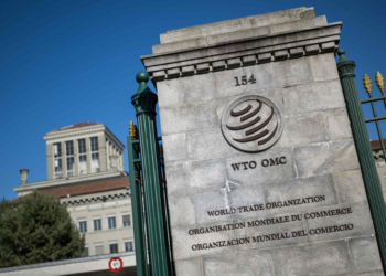 Chinese FM responds to Taiwan region’s claim of absence from WTO meeting in Cameroon over labeling as a province of China