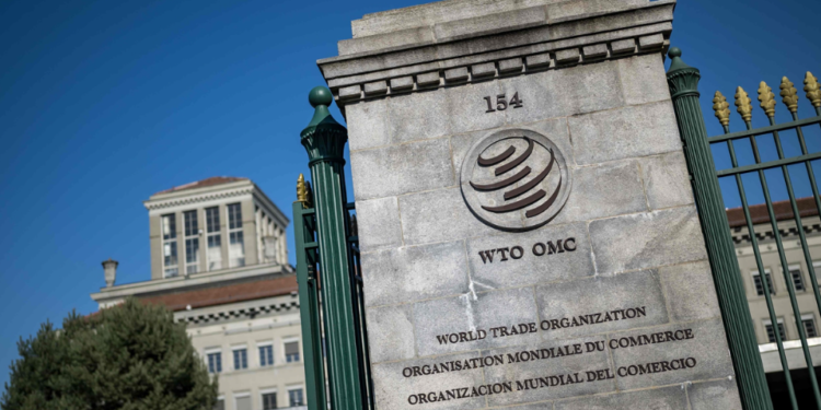 Chinese FM responds to Taiwan region’s claim of absence from WTO meeting in Cameroon over labeling as a province of China