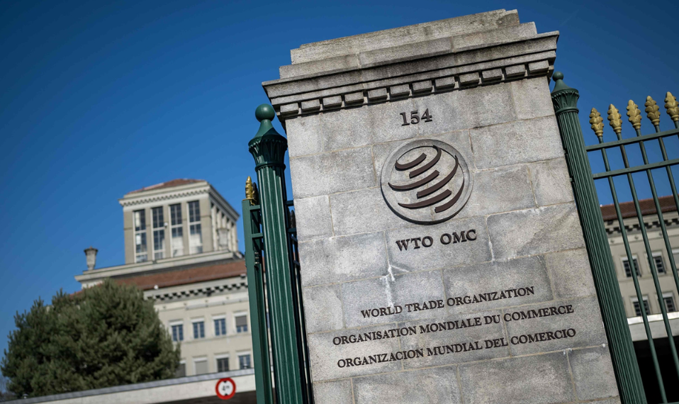Chinese FM responds to Taiwan region’s claim of absence from WTO meeting in Cameroon over labeling as a province of China