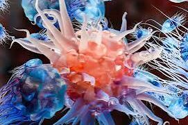 Chinese scientists develop “molecular bridge” to boost cancer treatment