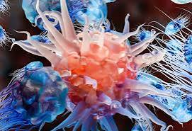 Chinese scientists develop “molecular bridge” to boost cancer treatment